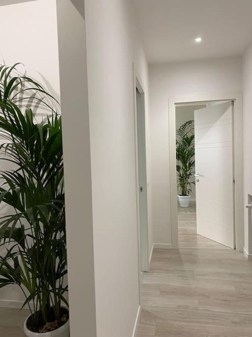Romanapartments Appartement